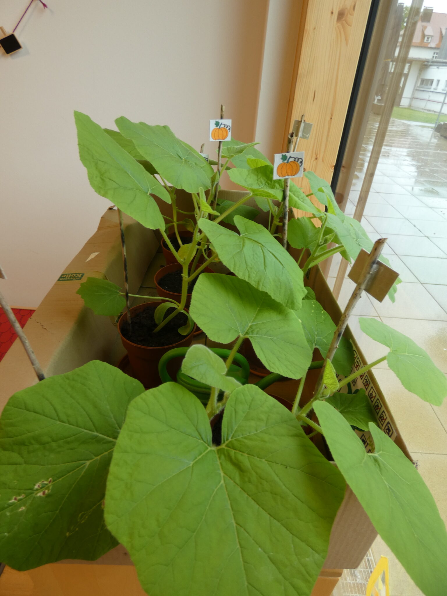 P1060741